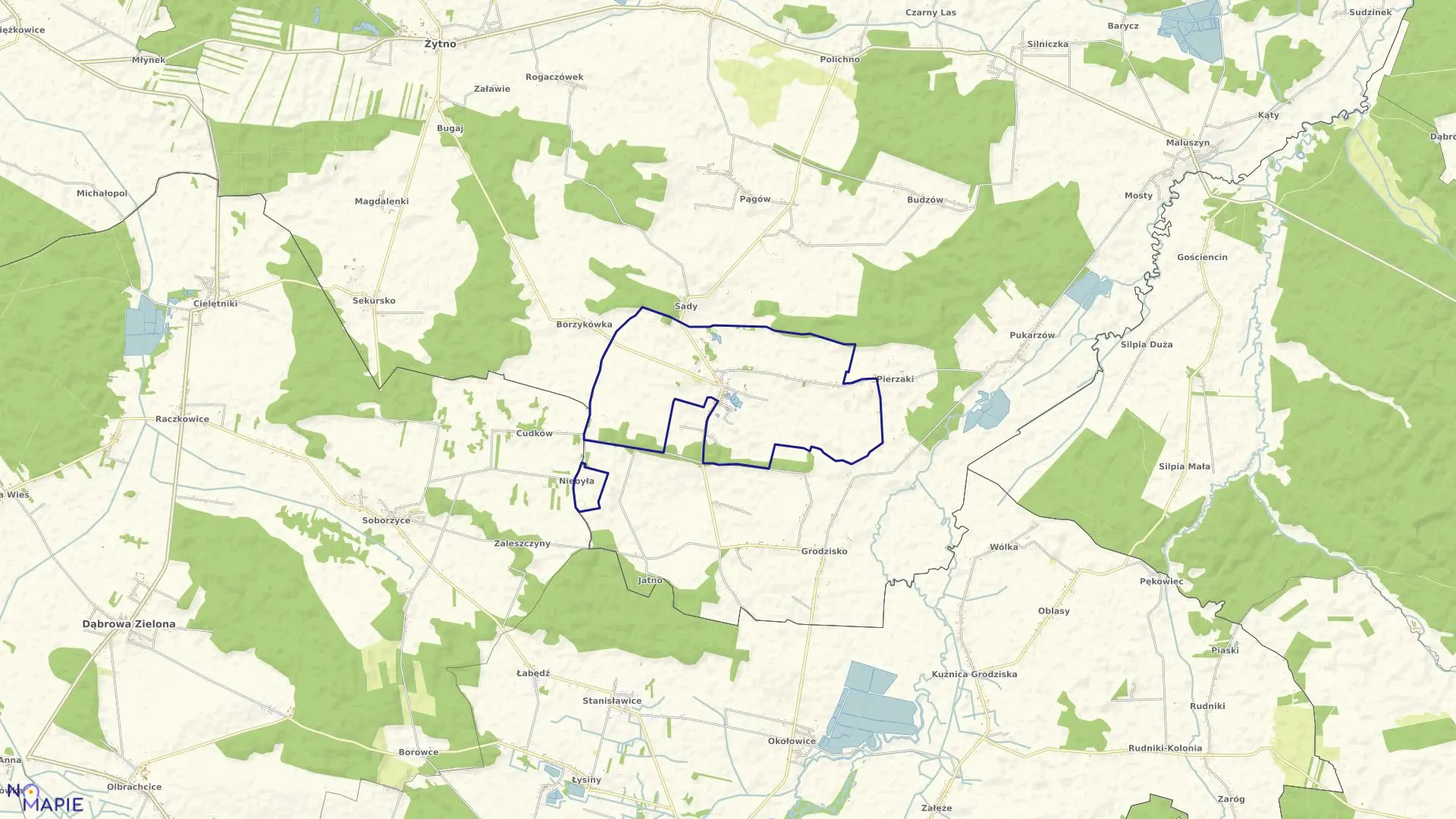 Mapa obrębu BORZYKOWA w gminie Żytno
